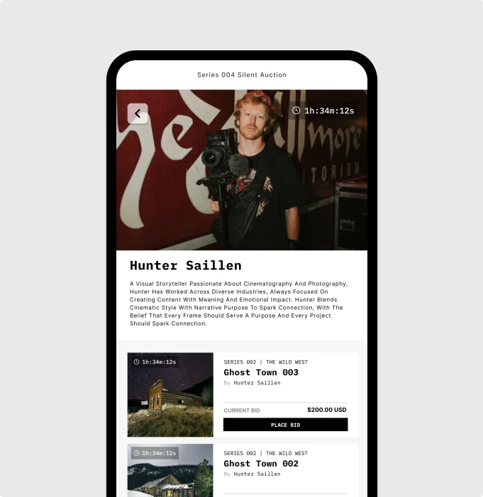 Artist profile with auction listings